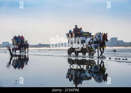 Deutschland, Niedersachsen, Cuxhaven, Neuwerk, Wattenmeer, Wattmeer, Pferdekutschen Stockfoto