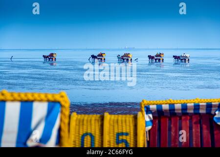Deutschland, Niedersachsen, Cuxhaven, Neuwerk, Wattenmeer, Wattflächen, Pferdekutschen Stockfoto