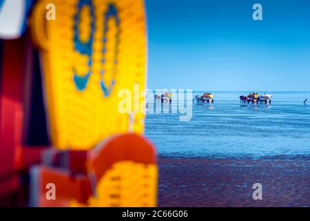 Deutschland, Niedersachsen, Cuxhaven, Neuwerk, Wattenmeer, Wattflächen, Pferdekutschen Stockfoto