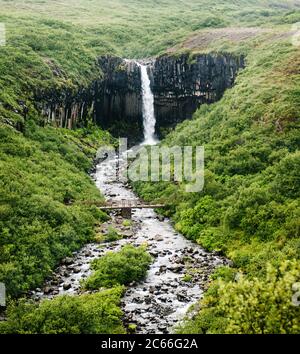 Svartifoss Wasserfall im Skaftafell Nationalpark, Vatnajökull, Südostisland, Skandinavien, Europa Stockfoto
