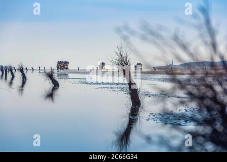 Deutschland, Niedersachsen, Cuxhaven, Neuwerk, Wattenmeer, Watt, Kutsche Stockfoto
