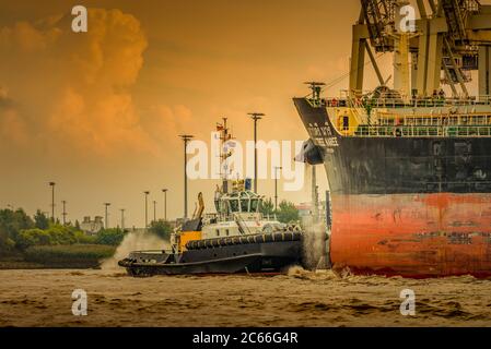 Deutschland, Hamburg, Övelgönne, Elbe, Hafen, Containerterminal, HHLA Hamburger Hafen und Logistik AG, Burchardkai Wharf, Tanker Stockfoto