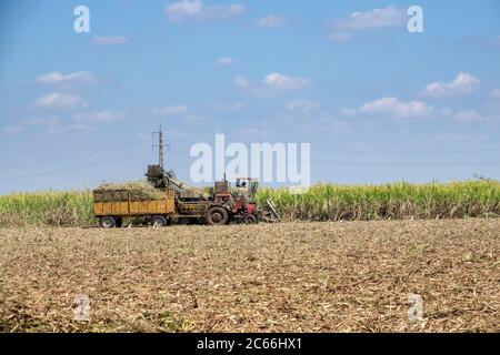 Kuba, Havanna, ländliche Kuba, Feld, Traktor, Zuckerrohrernte Stockfoto