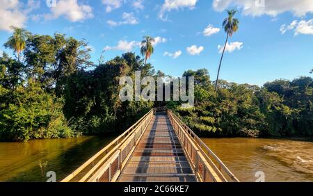 Promenade über den Fluss im Iguacu Nationalpark, Argentinien Stockfoto