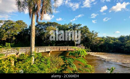 Promenade über den Fluss im Iguacu Nationalpark, Argentinien Stockfoto