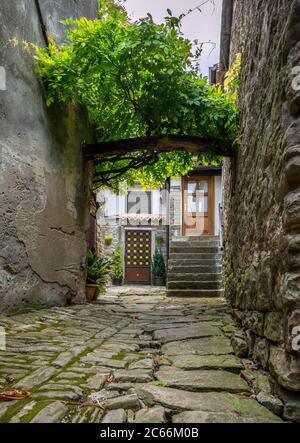 Künstlerort und Bergdorf Groznjan, Istrien, Kroatien, Europa Stockfoto