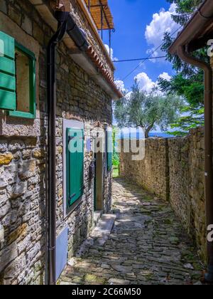 Künstlerort und Bergdorf Groznjan, Istrien, Kroatien, Europa Stockfoto