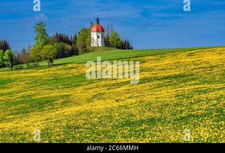 Buschelkapelle in der Nähe von Ottobeuren, Unterallgäu, Schwaben, Bayern, Deutschland, Europa Stockfoto