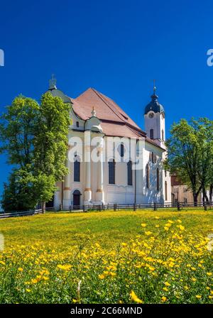 Heiligtum des geißelten Heilandes, Wieskirche, Kreis Steingaden, Pfaffenwinkel, Bayern, Deutschland, Europa Stockfoto