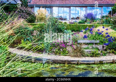 Ein Ziergarten Teich und terrassenförmig krautigen Grenzen in einem englischen Landgarten. Stockfoto