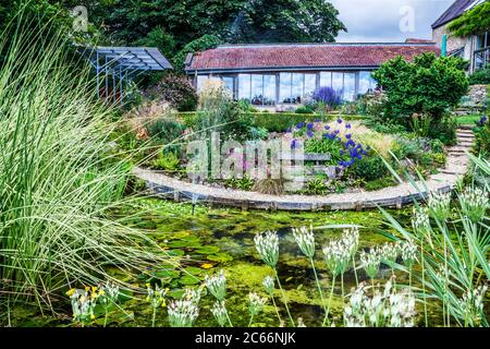 Ein Ziergarten Teich und terrassenförmig krautigen Grenzen in einem englischen Landgarten. Stockfoto