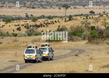 MASAI MARA, KENIA - 21. AUG 2010: Safari-Safari-Safari auf Safari Vans mit offenem Dach in Masai Mara. August ist eine Hochsaison für die Tierwanderung in Thi Stockfoto