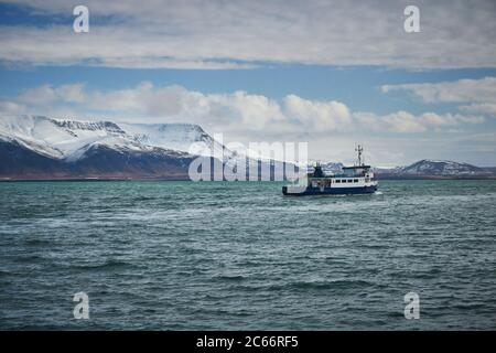 Island, Hafen Reykjavik, Bootstour, Walbeobachtung, Boot in der Faxaflói Bay Stockfoto