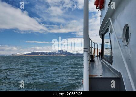 Island, Hafen von Reykjavik, Bootfahren, Walbeobachtung, Stockfoto