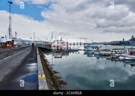 Island, Reykjavik Harbour, Boattour, Walbeobachtungsboote im alten Hafen Stockfoto