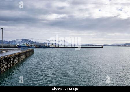 Island, Reykjavik Harbour, Bootour, Walbeobachtung, Pier ins Wasser Stockfoto