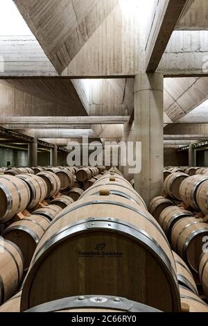 Fässer in den modernen Einrichtungen der Pago de Carraovejas Weinkeller von Ribera del Duero Herkunftsbezeichnung in Valladolid Spanien Europa Stockfoto