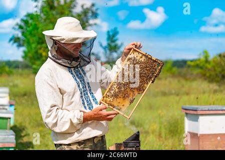 Ein Mann in Schutzanzug und Hut hält einen Rahmen mit Bienenwaben im Garten Stockfoto