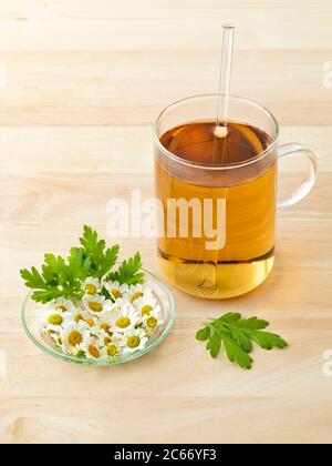 Ein Glas Kräutertee mit frischen Feverfew-Blumen auf einer Schüssel Stockfoto