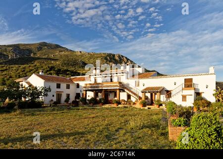 Weiß getünchtes Landhaus mit Innenhof in der spanischen Landschaft, Finca Cortijo Las Monjas, Malaga, Andalusien, Spanien.Blauer Himmel warmer Abend bei Sonnenuntergang Stockfoto