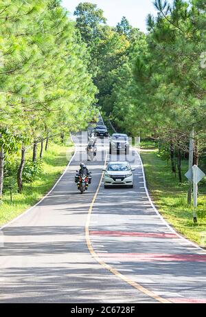 Autos und Motorräder auf Asphalt Straße, die hügelig und mit Kiefern auf beiden Seiten der Straße bei Baan E-Tong, Kanchanaburi, Thailand gekrümmt ist. Juli Stockfoto