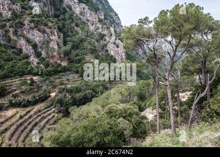 Luftaufnahme vom Kloster des Heiligen Antonius des Großen auch Qozhaya Kloster im Kadisha Tal genannt - Heiliges Tal im Norden des Governorats Libanon Stockfoto