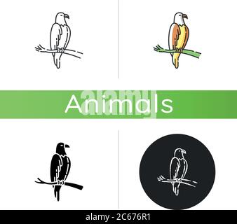 Eagle-Symbol. Lineare Schwarz- und RGB-Farbstile. Gefährliche Greifvogel, fliegendes Tier, geflügeltes Raubtier. US-Bürger. Falke, Falke auf Baum sitzend Stock Vektor