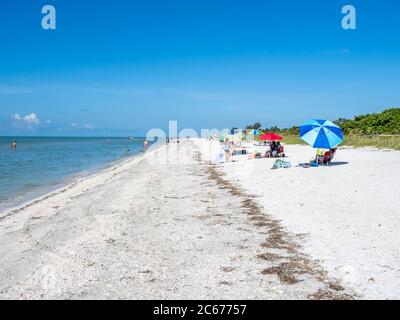 Strand in Lighthouse Beach Park an der östlichen Spitze der Insel Sanibel am Golf von Mexiko in den Vereinigten Staaten Stockfoto