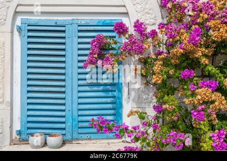 Traditionelles mediterranes Haus mit blauen Fensterläden und lila Blumen Stockfoto