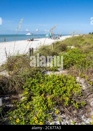 Strand in Lighthouse Beach Park an der östlichen Spitze der Insel Sanibel am Golf von Mexiko in den Vereinigten Staaten Stockfoto