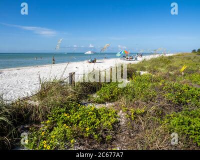 Strand in Lighthouse Beach Park an der östlichen Spitze der Insel Sanibel am Golf von Mexiko in den Vereinigten Staaten Stockfoto