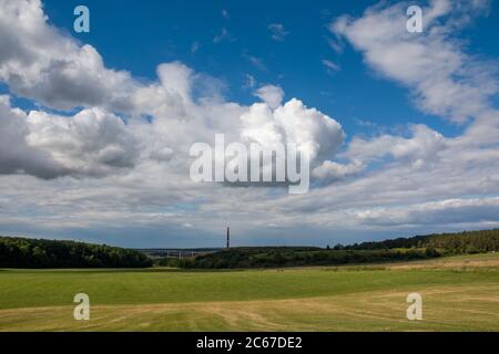 Sachsen-Anhalt, Dr. Beck. Panorama über Wälder mit einem alten toten und trockenen Baum im Sommer, Deutschland, sonniger Tag, blauer Himmel Stockfoto