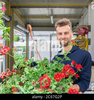 Porträt des Gärtners im Open-Air-Blumen-Shop. Mann arbeitet als Floristin und hält eingetopftes Pelargonium in Pflanzen Markt. Florist mit seinen gewachsenen Blumen Stockfoto