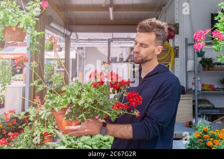 Porträt des Gartenmarktangestellten. Bärtiger Mann hält Topfblumen während der Arbeit als Floristen. Mann Floristen stehend in Pflanzenmarkt, hält eingetopft Stockfoto