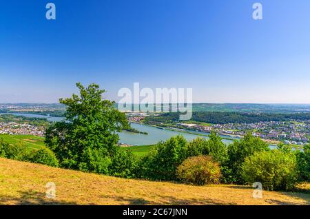 Luftpanorama der Rheinschlucht oder des Oberen Mittelrheintals Weinbaugebiet mit Weinfeldern bei Rüdesheim und Bingen am Rhein Stadt, Rheinland-Pfalz, Hessen, Deutschland Stockfoto