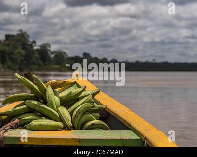 Paumari, Brasilien - 25. November 2018: traditionelle, indische Boot und schöne Aussicht mit der Reflexion in der Lagune von Amazonas Dschungel. Lateinamerika Stockfoto