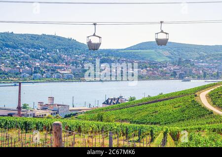 Seilbahn auf Seilbahnseilbahn von Rüdesheim am Rhein Stadt nach Roseneck Berg über Weinbergen Felder des Rheintals Hügel, blauer klarer Himmel Hintergrund in sonnigen Sommertag, Land Hessen, Deutschland Stockfoto