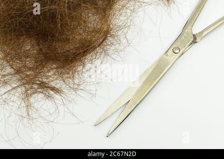 Haufen von braunen Haaren mit einer Schere nach dem Schneiden isoliert auf einem weißen Hintergrund. Keine Personen. Stockfoto