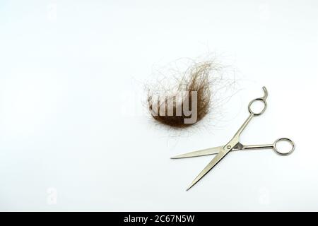 Schneiden von braunen Haaren mit einer Schere nach dem Schneiden isoliert auf einem weißen Hintergrund. Keine Personen. Speicherplatz kopieren. Stockfoto