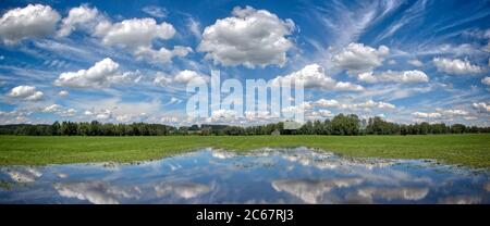 DE - BAYERN: Hoffilze bei Bichl, am Tag nach dem Regen (HDR-Bild) Stockfoto