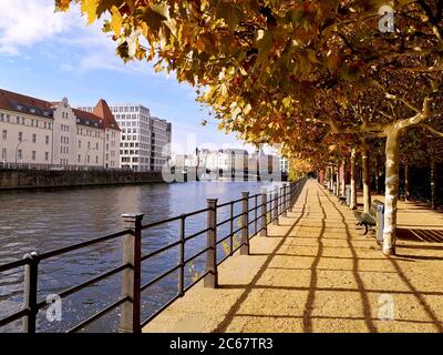 Promenade mit Metallgeländer, Holzbänke und Laubhalle mit herbstlich leuchtenden gelben und orangen Blättern am ruhigen Wasser des Landwehrkanals. Stockfoto