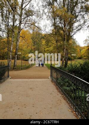 Braut und Bräutigam mit ihrem Fotografen, die an einem ruhigen Herbsttag in einem beliebten Tiergarten-Park spazieren gehen. Blick von der Brücke. Stockfoto