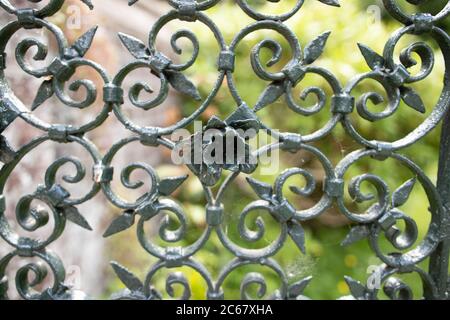 Geschweißte Eisen metallic Design Blume Detail Nahaufnahme Garten Zaun Stockfoto