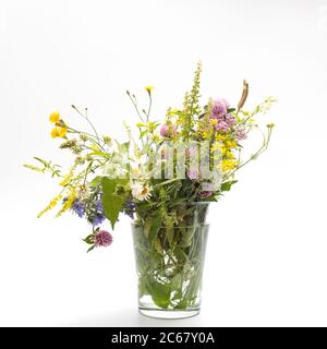 Wildfeld Kräuter in Flaschen unterschiedlicher Formen auf weiß-grauem Hintergrund als Dekoration. Karte, Flasche ätherisches Öl mit Kräutern auf weißem Backgrou Stockfoto