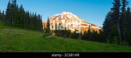 Sommer Wildblumen im Spray Park mit Mount Rainier im Hintergrund, Washington, USA Stockfoto