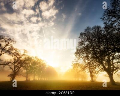 Langsam brennt Nebel im Lowther Park am Rande des Lake District, Cumbria. Stockfoto