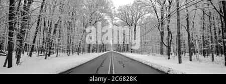 Straße durch Winterwald, Wheeling, Illinois, USA Stockfoto