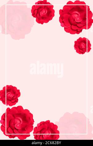 Rote Rosenblüten auf weichem rosa Hintergrund mit weißem Rahmen. Speicherplatz kopieren. Stockfoto