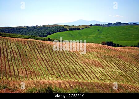 Naturlandschaft der Crete Senesi bei Asciano in der toskanischen Landschaft in Siena, Italien. Stockfoto