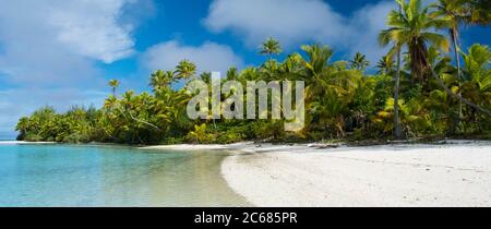 Kokospalmen und Vegetation am tropischen Strand, Tapuaetai Motu in Aitutaki Lagune, Aitutaki, Cook Inseln Stockfoto